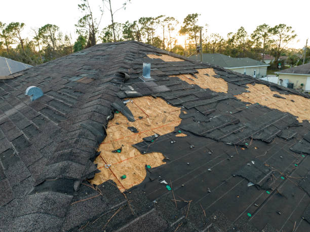 Best Roof Maintenance and Cleaning  in Ballville, OH