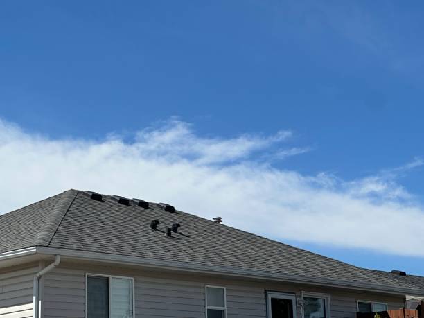 Best Storm Damage Roof Repair  in Ballville, OH